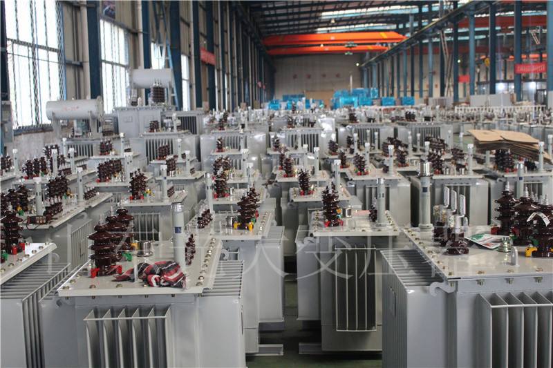 铜陵S22-800KVA/10KV
