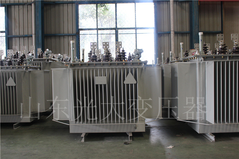 铜陵S20-500KVA/10KV